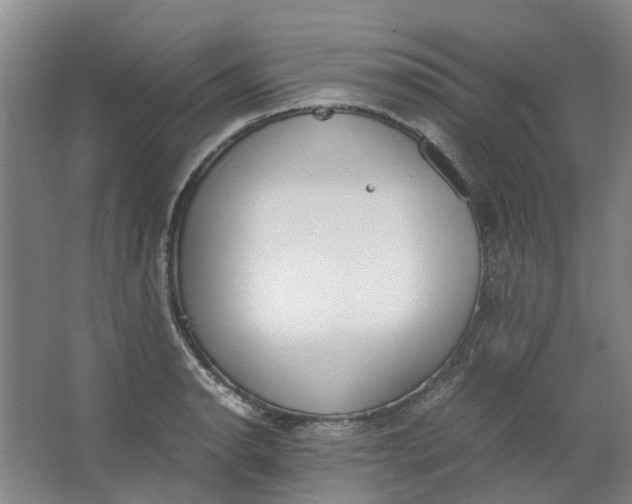 X0000062871134200601271549