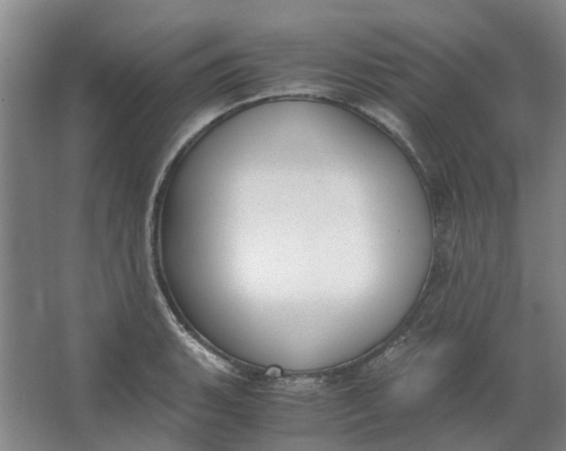 X0000062871135200601271549