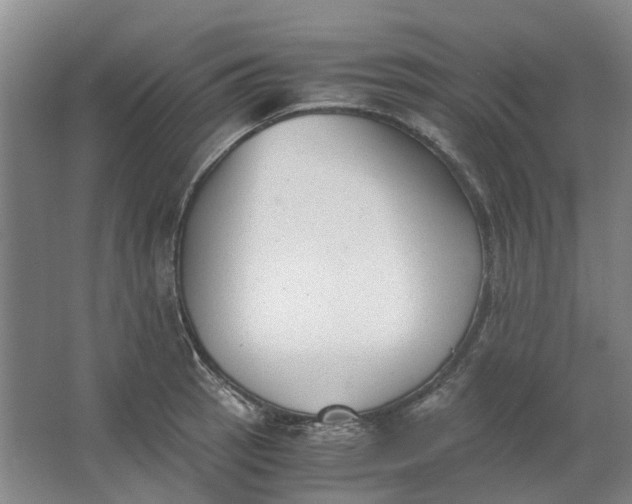 X0000062871137200601271549