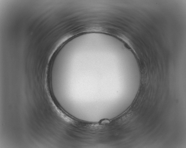 X0000062871139200601271549