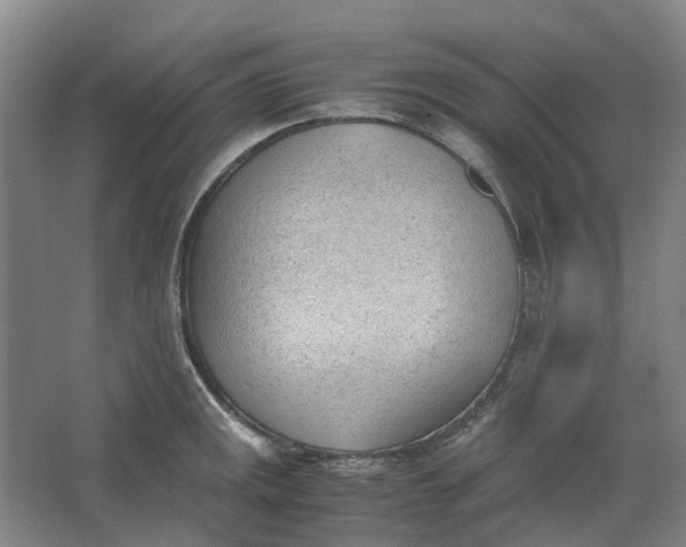 X0000062871141200601271549