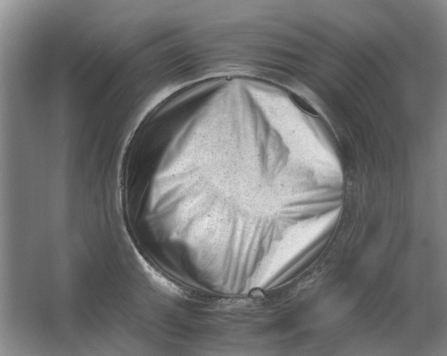 X0000062871143200601271549