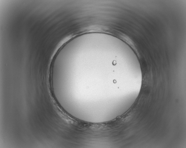 X0000062871146200601271549