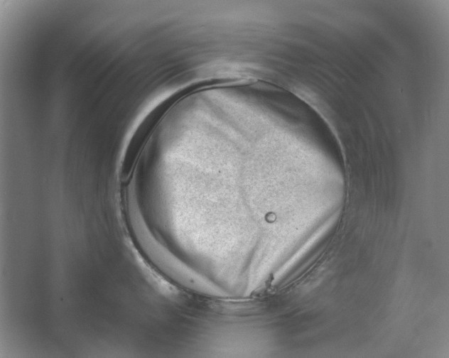 X0000062871152200601271549