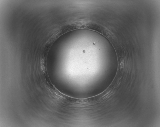 X0000062871156200601271548