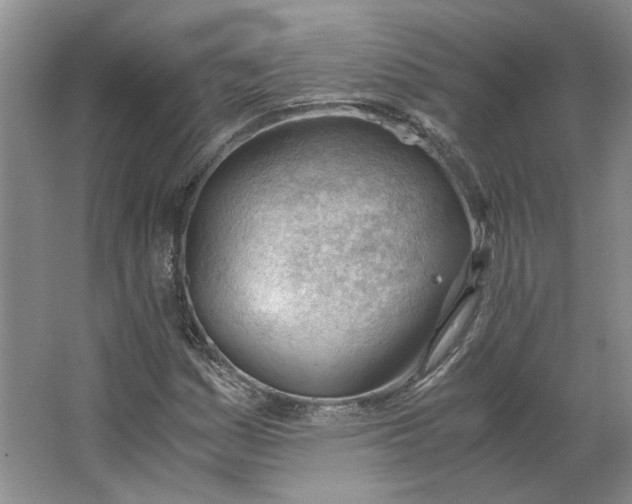 X0000062871161200601271548