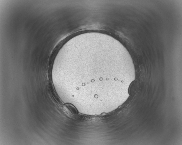 X0000062871166200601271548