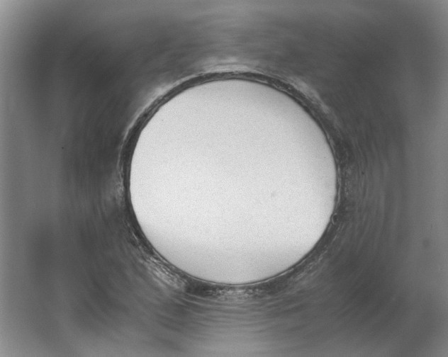 X0000062871167200601271548