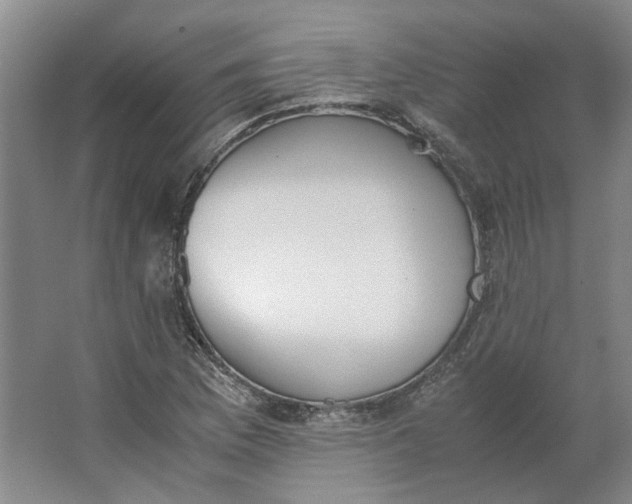 X0000062871169200601271548