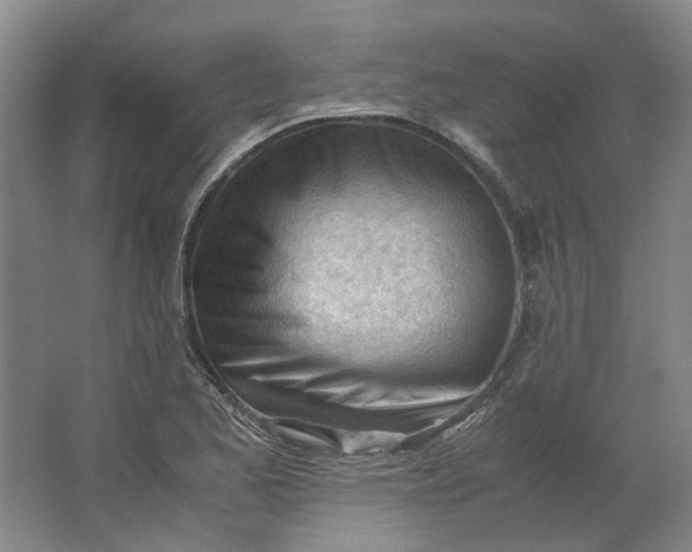 X0000062871173200601271548