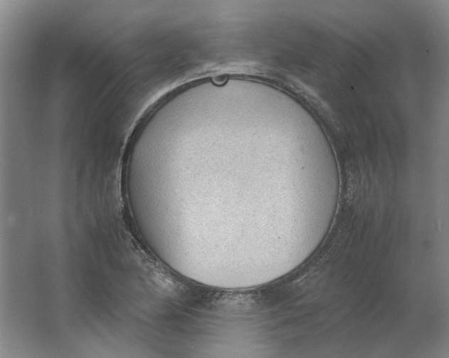 X0000062871174200601271548