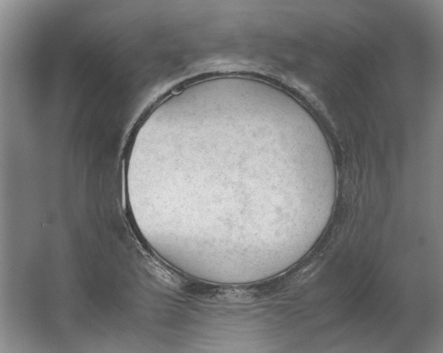 X0000062871175200601271548