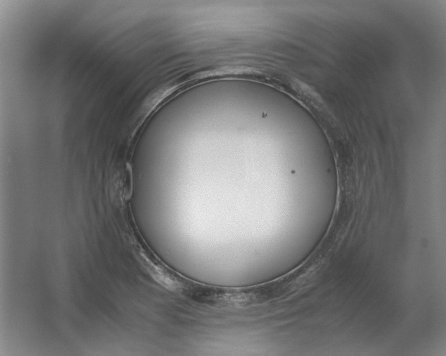 X0000062871177200601271548