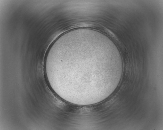 X0000062871178200601271548