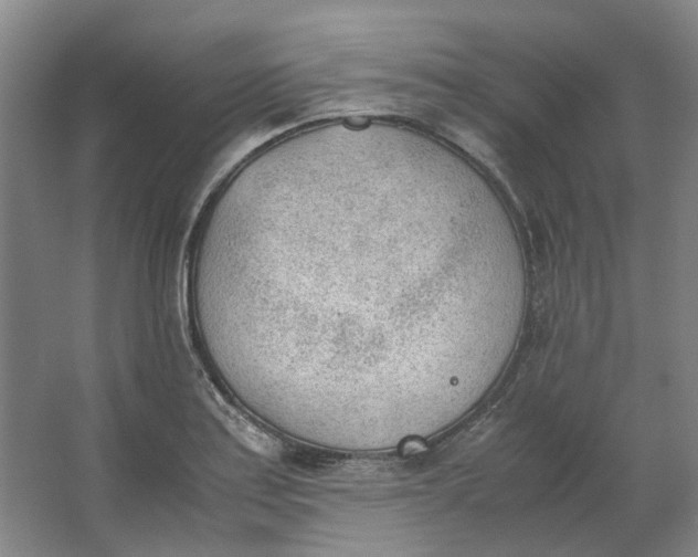 X0000062871179200601271548