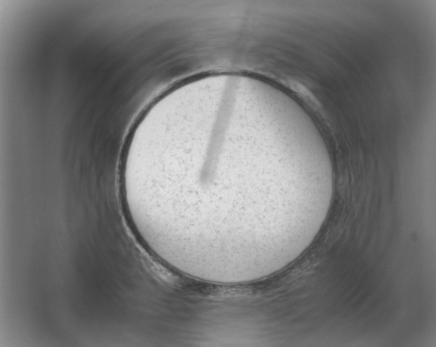 X0000062871183200601271548