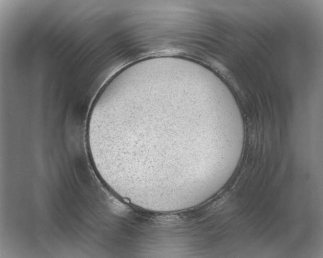 X0000062871186200601271548