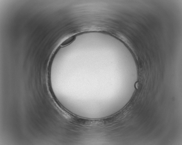 X0000062871187200601271548