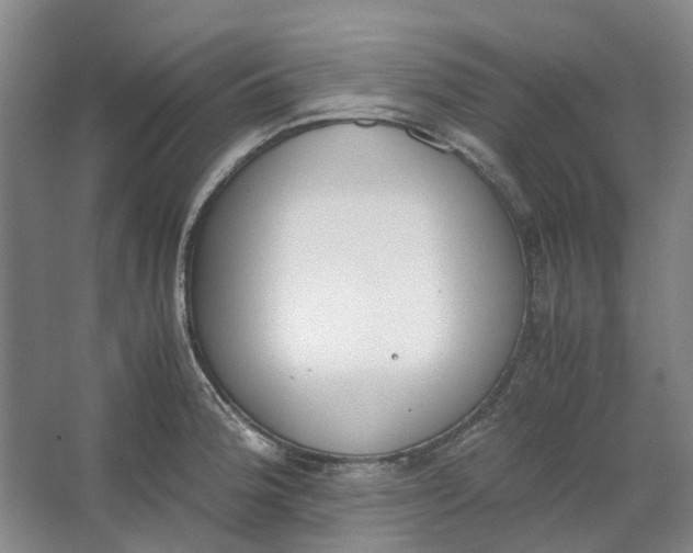 X0000062871188200601271548