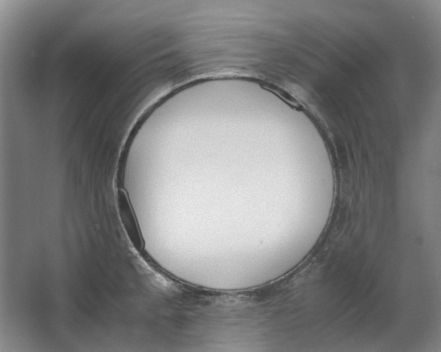 X0000062871189200601271548