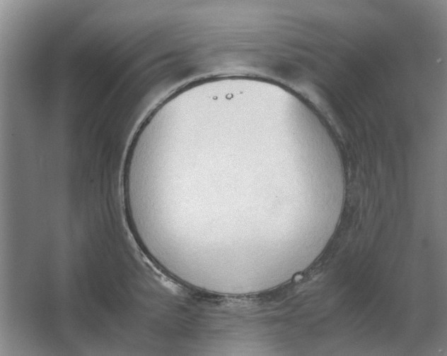 X0000062871191200601271548