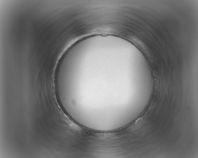 X0000062871192200601271548