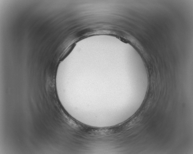 X0000062871193200601271548