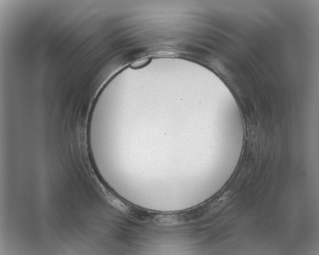 X0000062871194200601271548