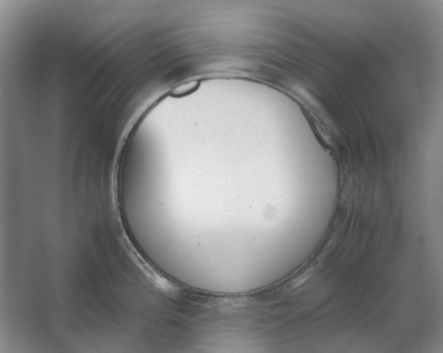 X0000062871196200601271548