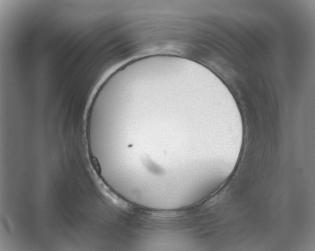 X0000062871200200601271548