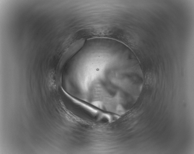 X0000062871202200601271547