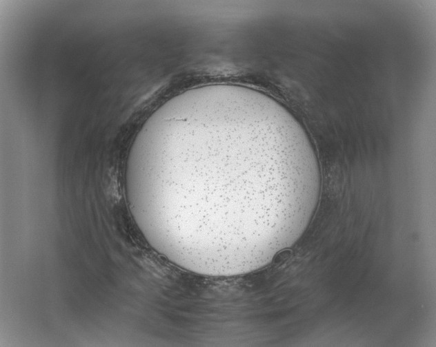 X0000062871205200601271547