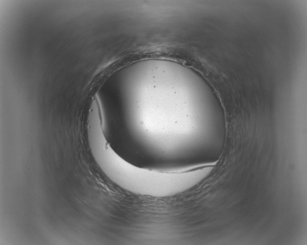 X0000062871206200601271547