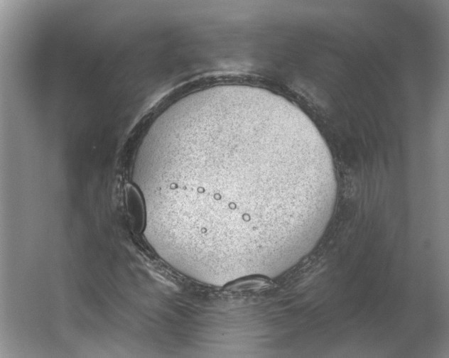 X0000062871208200601271547