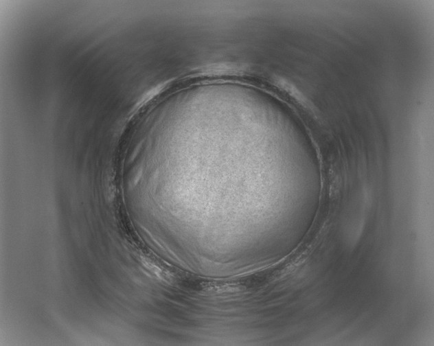 X0000062871213200601271547