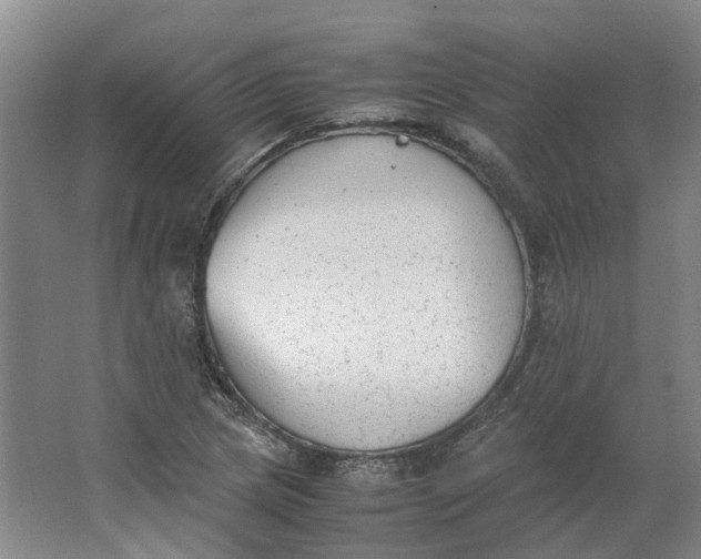 X0000062871217200601271547