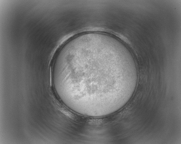 X0000062871223200601271547