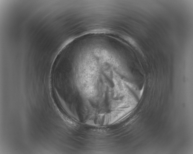 X0000062871229200601271547