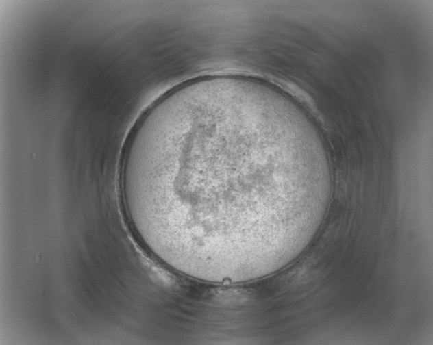 X0000062871231200601271547