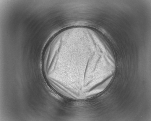 X0000062871232200601271547