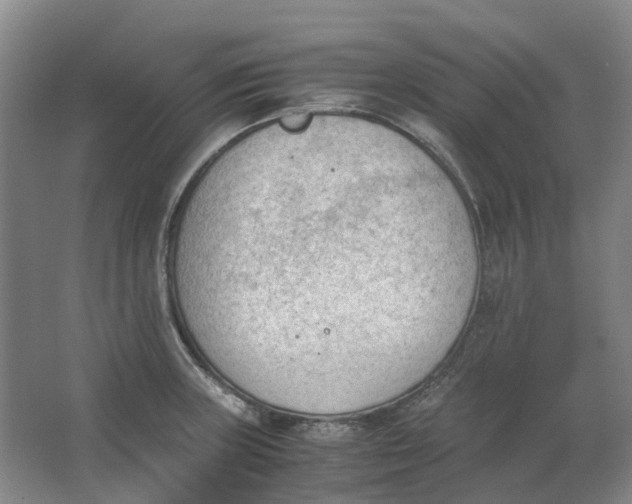 X0000062871235200601271547