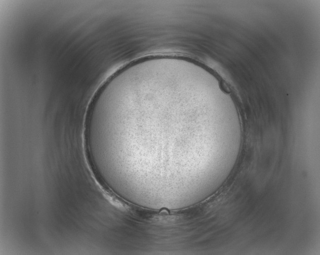 X0000062871237200601271547