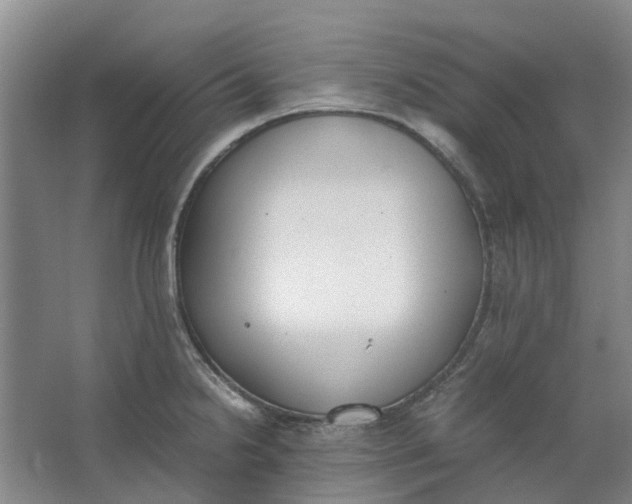 X0000062871238200601271547