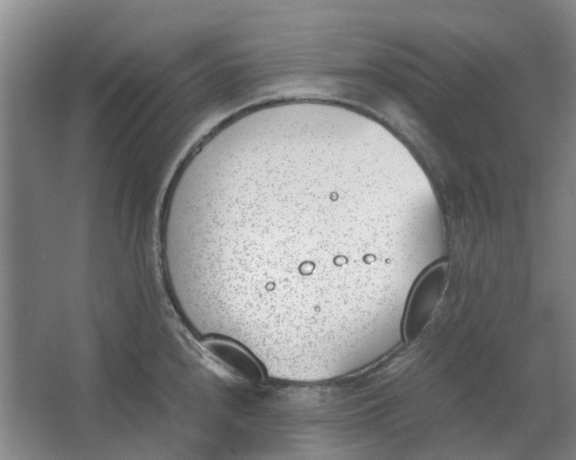 X0000062871240200601271547