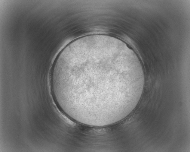 X0000062871243200601271547