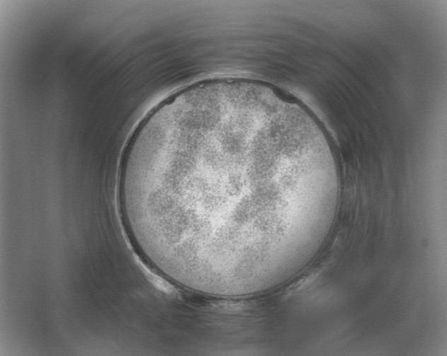 X0000062871245200601271547