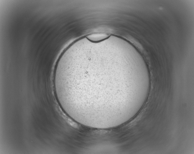 X0000062871248200601271548