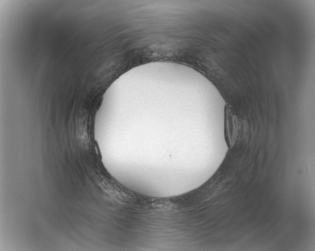 X0000062871250200601271547