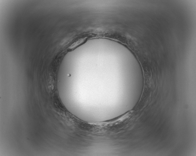 X0000062871253200601271547