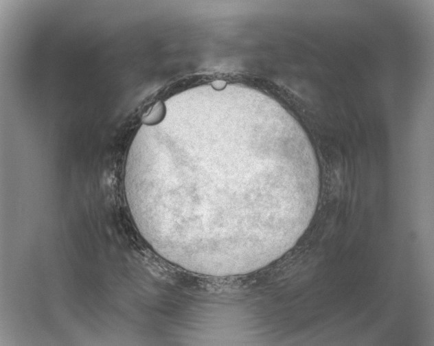 X0000062871254200601271547